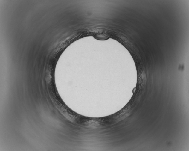 X0000113930566200911061221