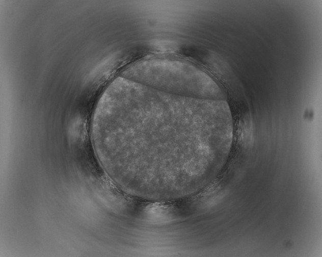 X0000113930568200911061221