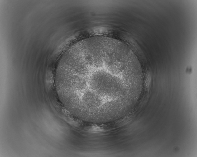 X0000113930569200911061221