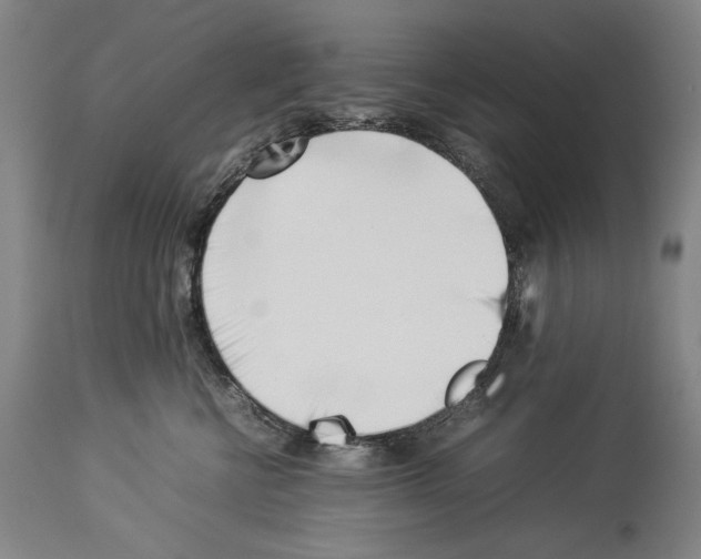X0000113930570200911061221