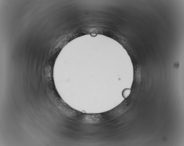 X0000113930571200911061221
