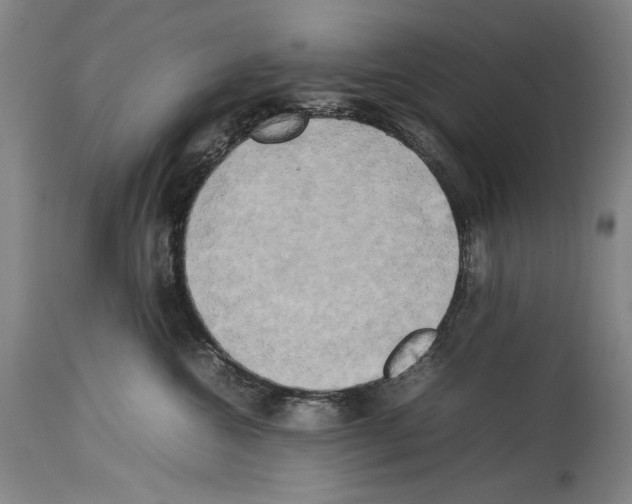 X0000113930572200911061221
