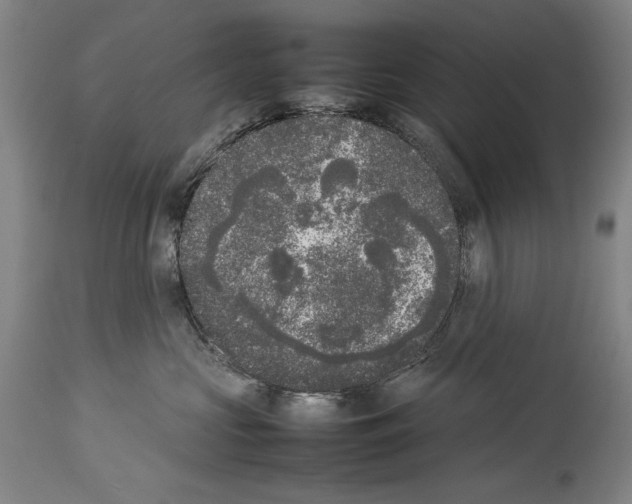 X0000113930573200911061221