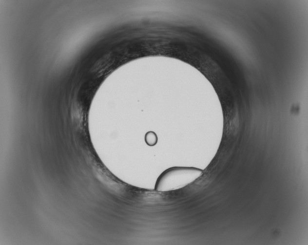 X0000113930574200911061221