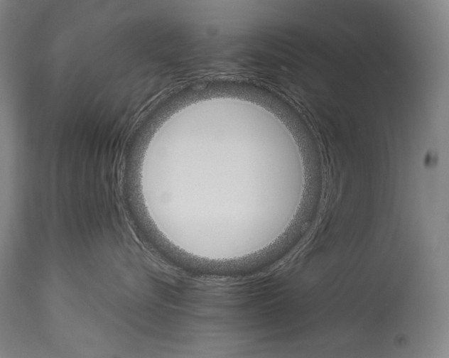 X0000113930576200911061221