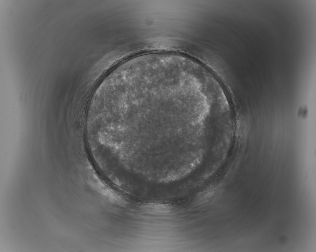 X0000113930577200911061221