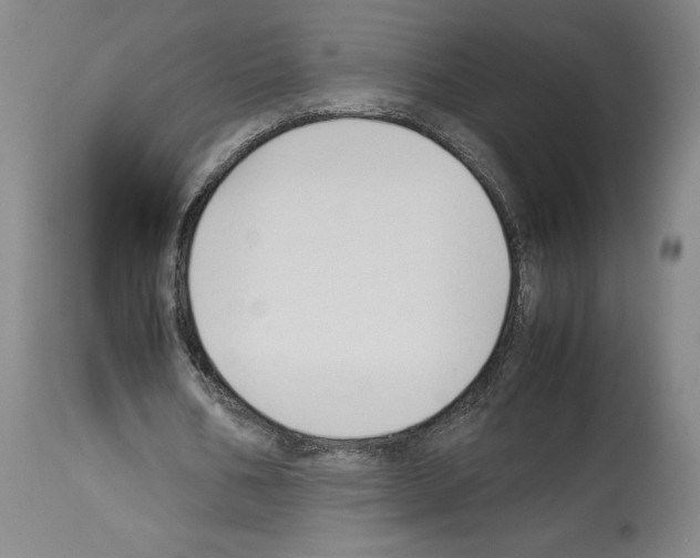 X0000113930578200911061221