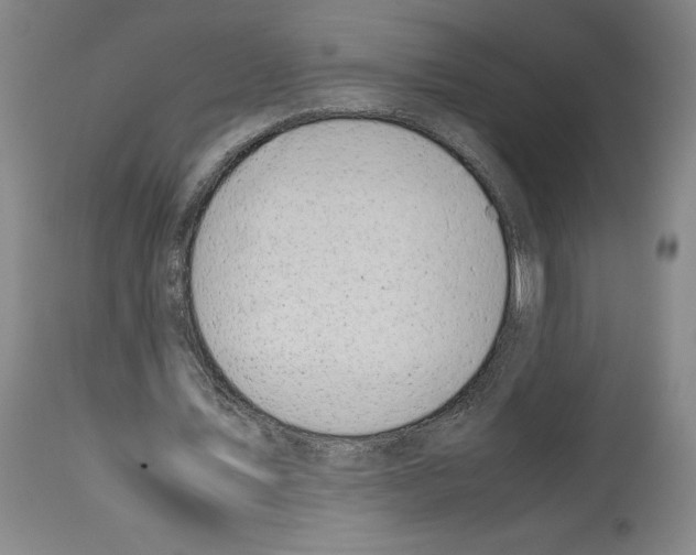 X0000113930579200911061221