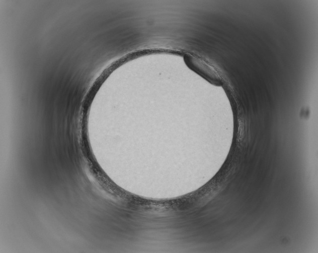 X0000113930580200911061221
