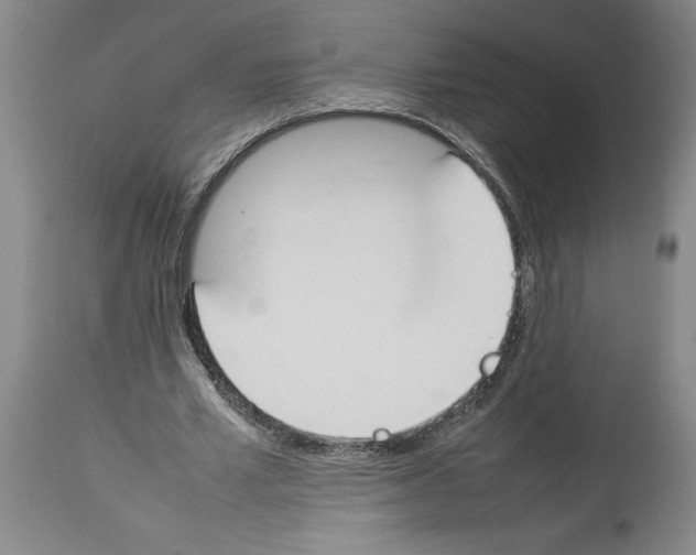 X0000113930581200911061221