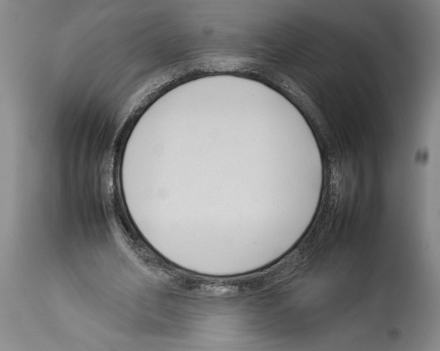 X0000113930582200911061221