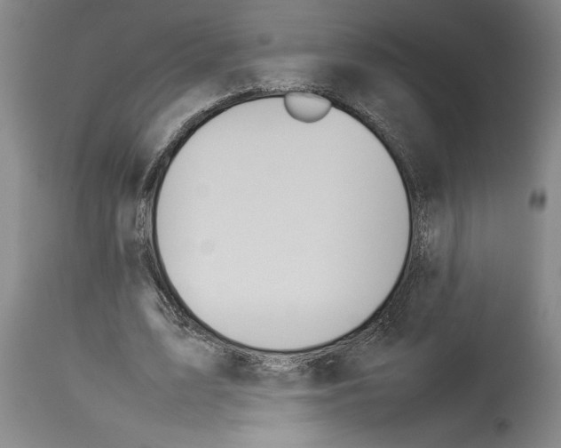 X0000113930583200911061221