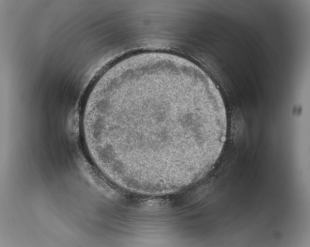 X0000113930584200911061221