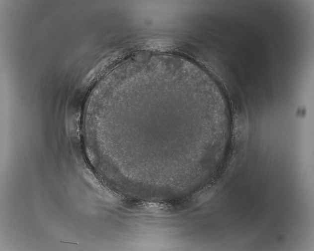 X0000113930585200911061221