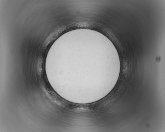 X0000113930586200911061221