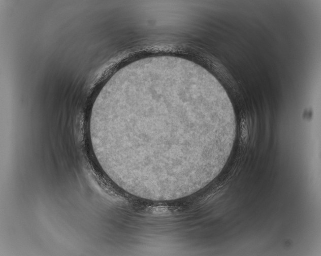 X0000113930588200911061221