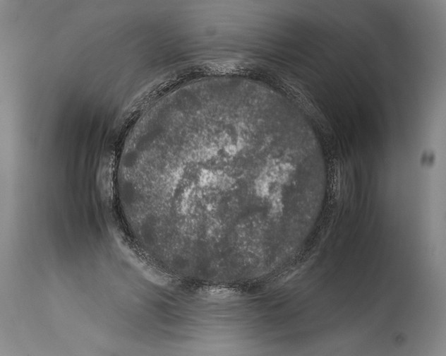 X0000113930590200911061220