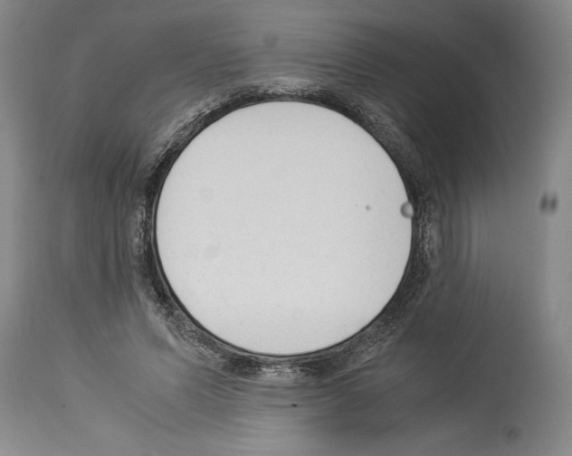 X0000113930591200911061220