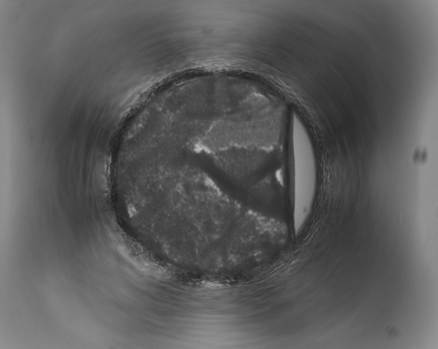 X0000113930592200911061220