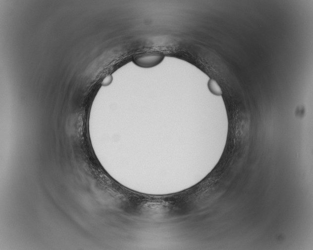X0000113930595200911061220