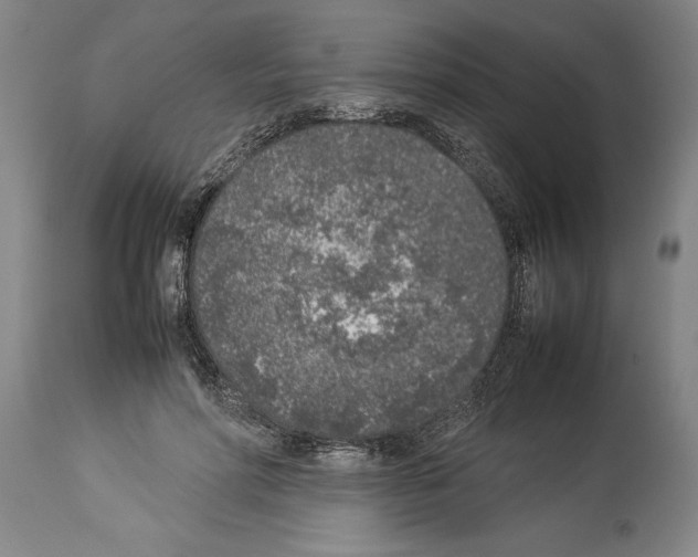 X0000113930598200911061220