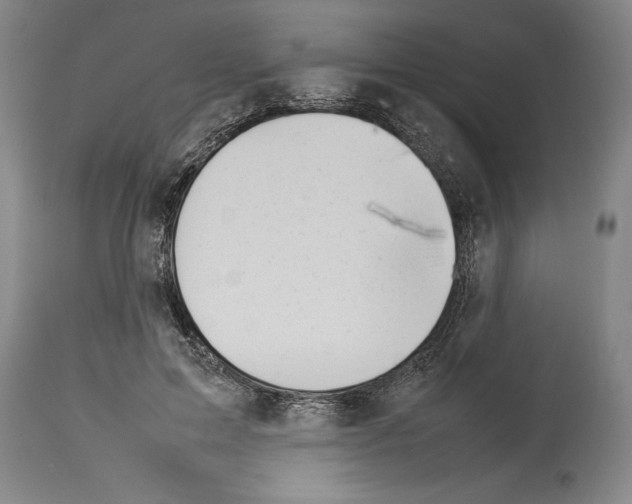 X0000113930599200911061220