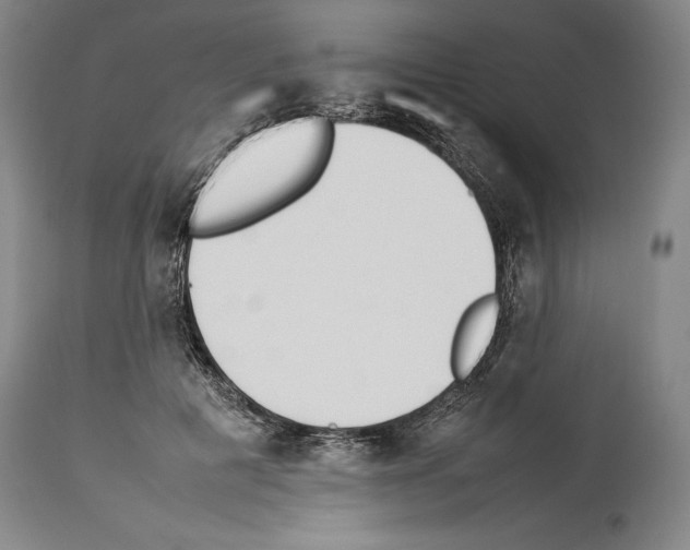 X0000113930601200911061220