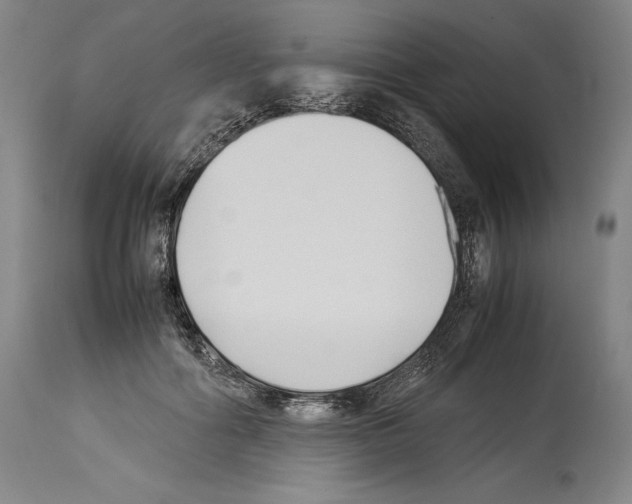 X0000113930602200911061220