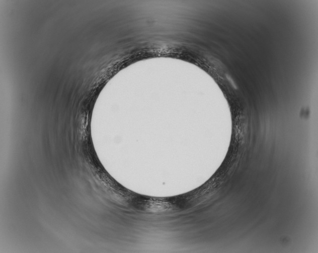 X0000113930605200911061220