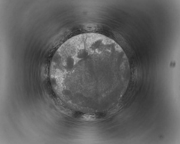 X0000113930606200911061220