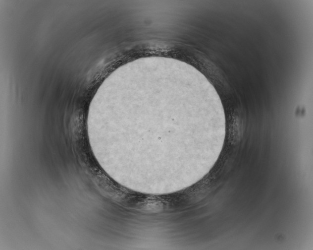 X0000113930608200911061220
