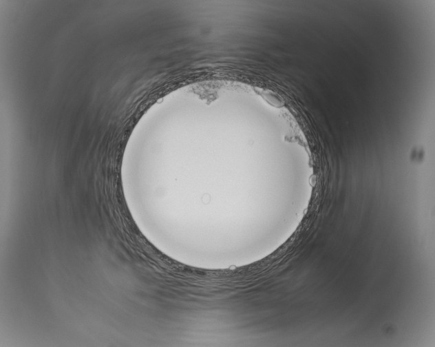 X0000113930609200911061220
