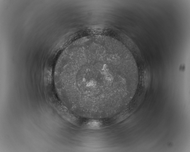 X0000113930610200911061220