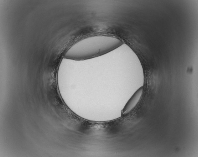 X0000113930611200911061220