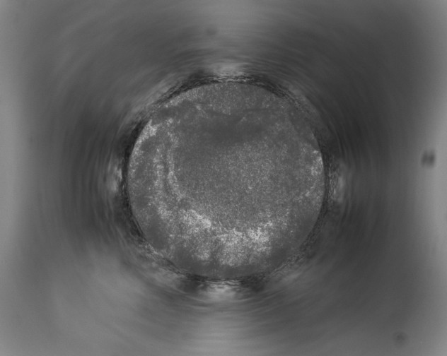 X0000113930618200911061220