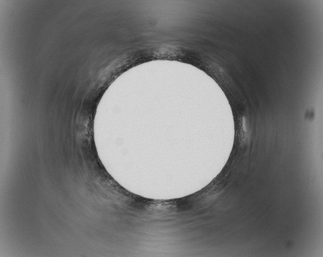 X0000113930619200911061220
