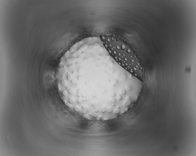 X0000113930621200911061220