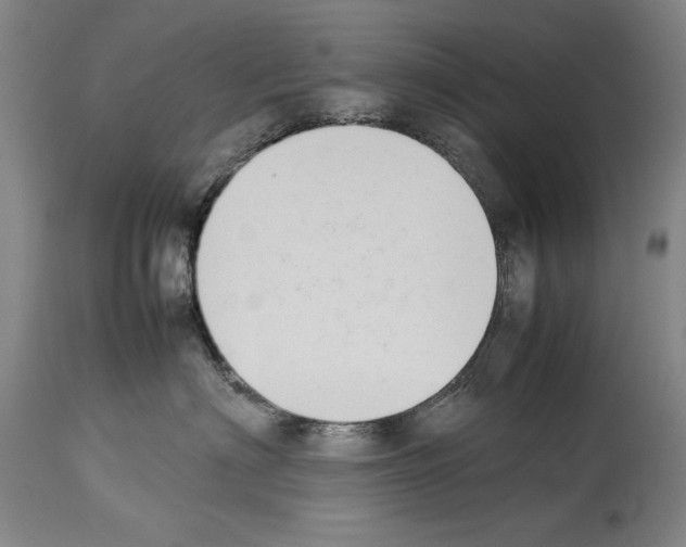 X0000113930622200911061220