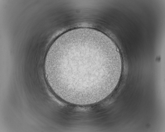 X0000113930625200911061219