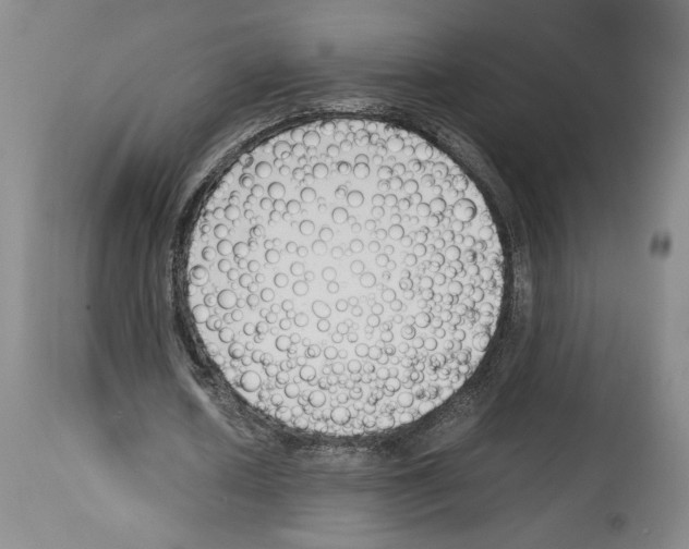 X0000113930626200911061219