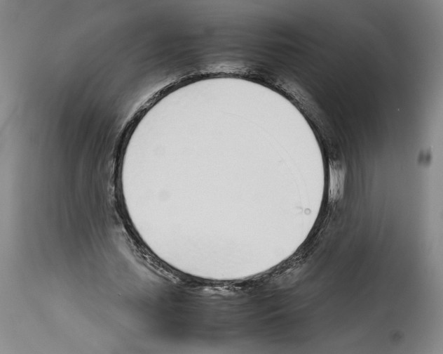 X0000113930627200911061219