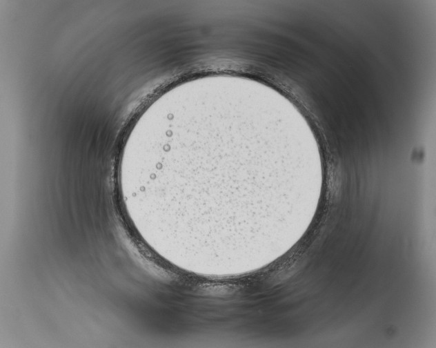 X0000113930629200911061219