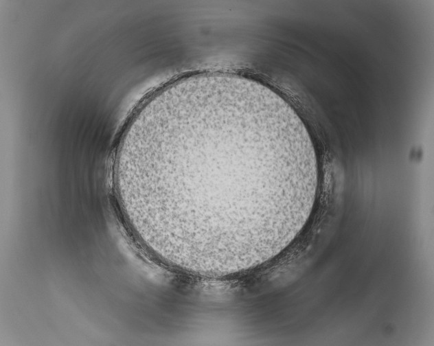 X0000113930632200911061219