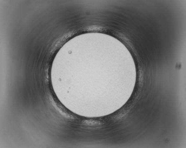 X0000113930633200911061219