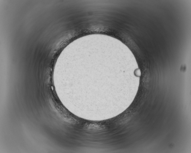 X0000113930635200911061220