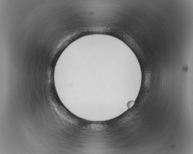 X0000113930636200911061220