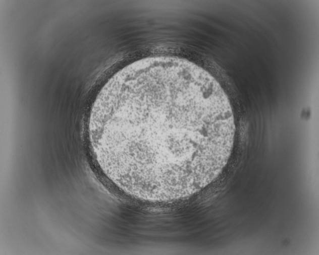 X0000113930637200911061220