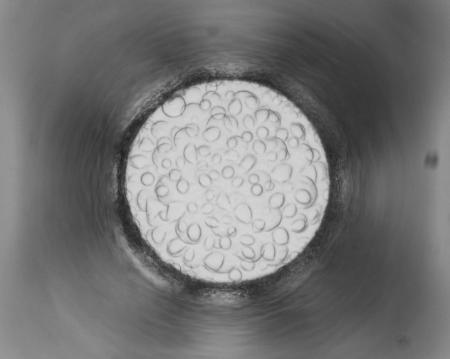 X0000113930638200911061220
