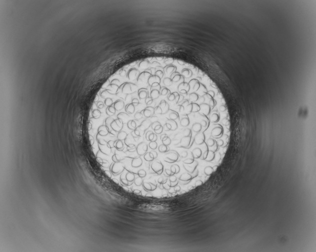 X0000113930639200911061220