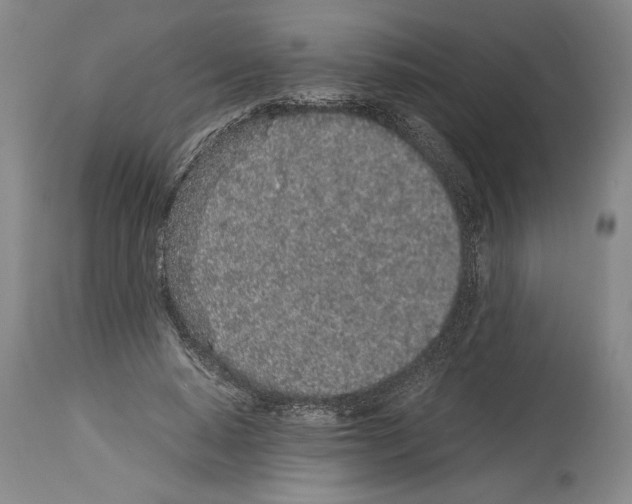 X0000113930640200911061220